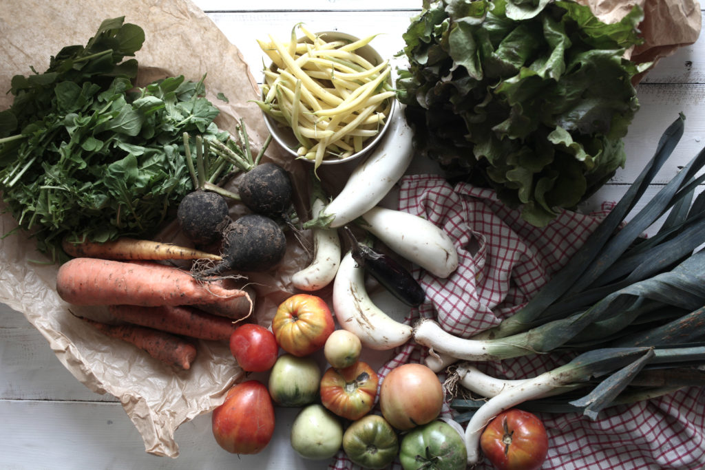 Diversité des légumes