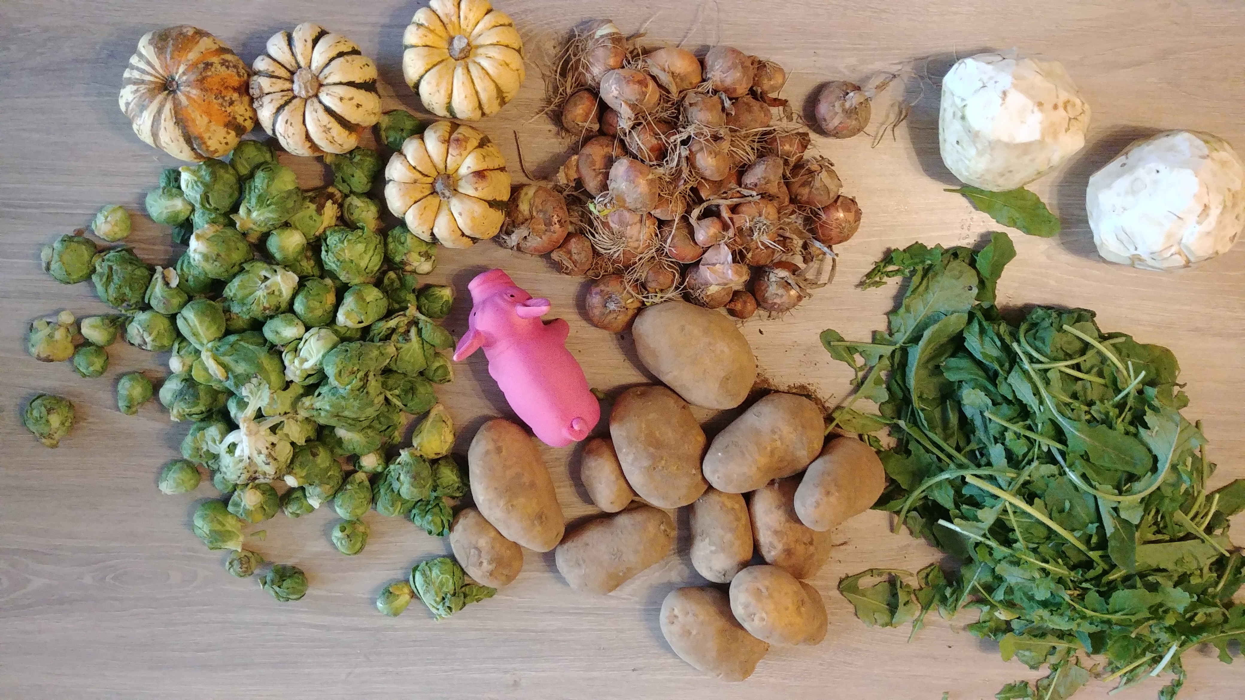 Légumes – 2018 – Janvier – 1er panier
